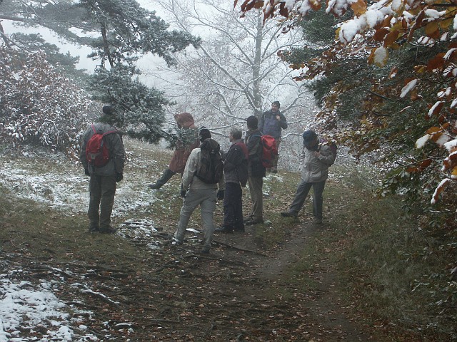 Raichberg 2007 Bild 15